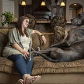 Zeus - Tallest Dog Living
Guinness World Records 2022 (photo: shadai perez)