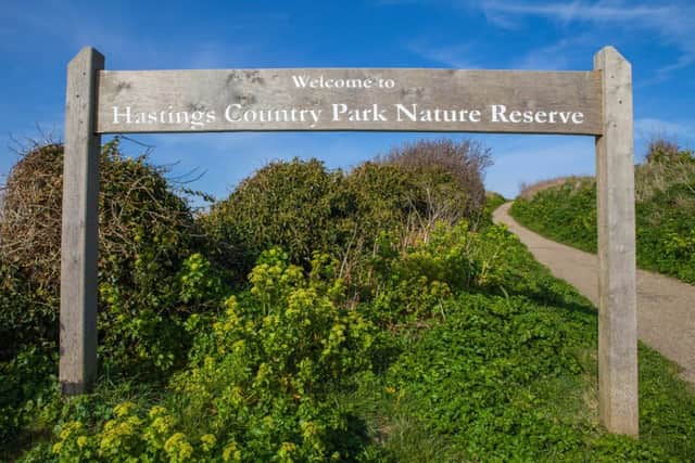 Hastings Country Park is another top dog walking area in the UK (photo: adobe)