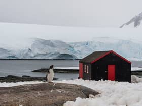 A charity is looking for a team of people to run the world’s most remote post office, which can be found in Port Lockroy bay in Antarctica, for five months. (Alexey Seafarer - stock.adobe.co)