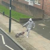 The RSPCA is appealing for information after a man was videoed kicking a dog on a North London street. Credit: RSPCA