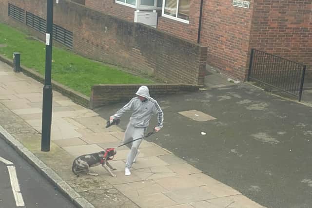 RSPCA are appealing for information after a man was videoed kicking a dog on a North London street. Credit: RSPCA