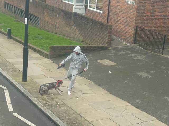 The RSPCA is appealing for information after a man was videoed kicking a dog on a North London street. Credit: RSPCA