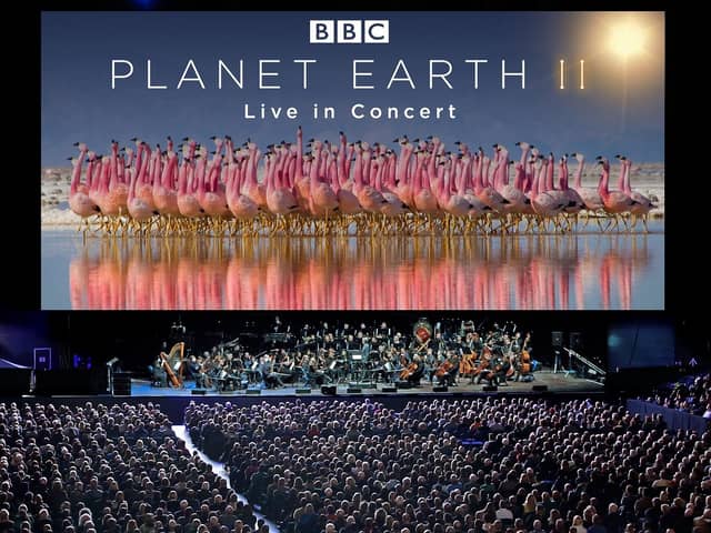 Planet Earth II Live on tour (photo: Justin Anderson Copyright BBC NHU 2016)