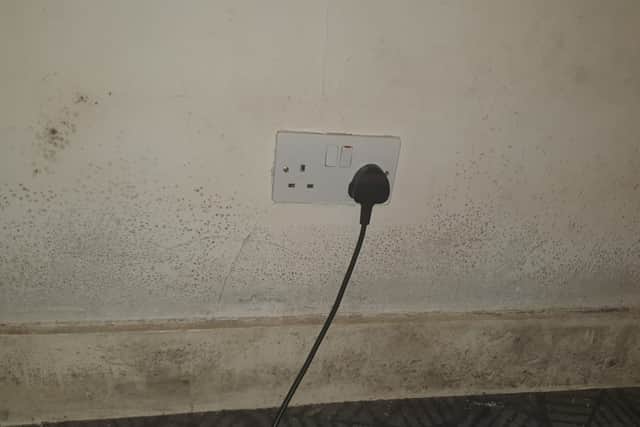 Ashlee said the spread of the black mould means one of her sons is having to live with her mum, due to his asthma. Credit: Ashlee Toomey.