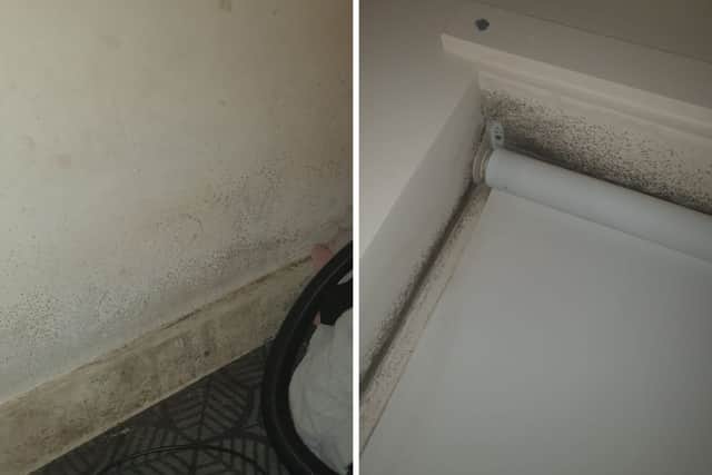 The mould in Ashlee’s home has spread, including on her walls and around her windows. Credit: Ashlee Toomey.