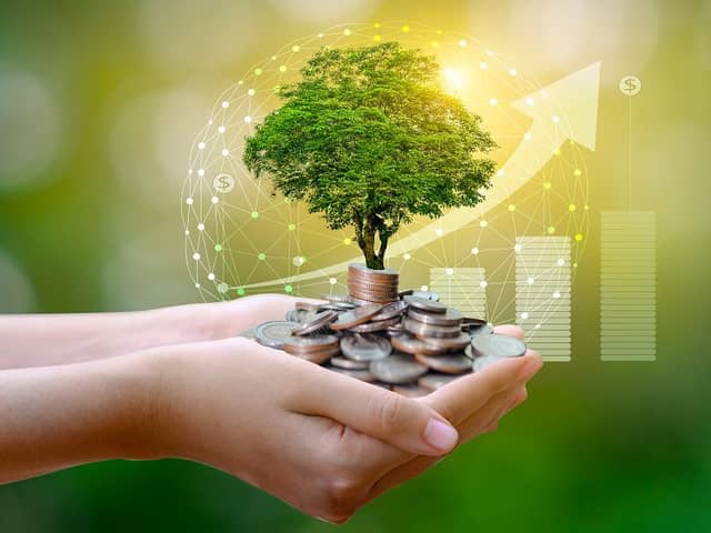 Greening your money (photo: Shutterstock)