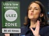 ULEZ and LTNs: Sadiq Khan’s policies should be open to government veto, says MP Theresa Villiers