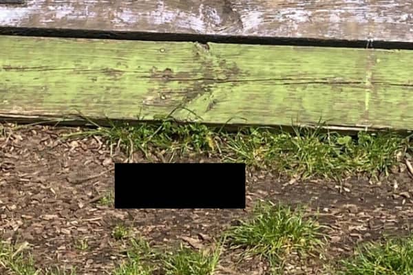 The cat’s head was found in a playground in Hackney. (Photo by SWNS)