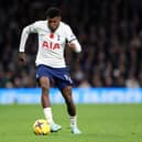 Emerson Royal of Tottenham Hotspur during the Premier League match  (Photo by Catherine Ivill/Getty Images)