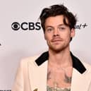 Harry Styles. (Photo by Alberto E. Rodriguez/Getty Images for The Recording Academy)