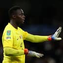 Edouard Mendy of Chelsea reacts during the Carabao Cup Third Round match between Manchester City  (Photo by Lewis Storey/Getty Images)
