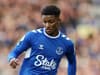 Fulham ‘keen’ on Everton man as Marco Silva hunts for attacking reinforcements
