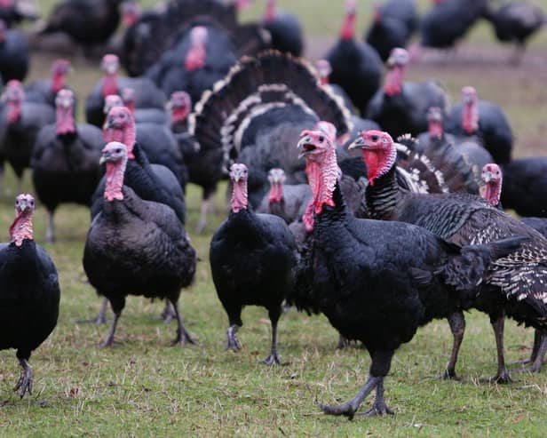 Two poultry workers in England have tested positive for bird flu, although there are no signs of human-to-human transmission, the UK Health and Security Agency (UKHSA) has said.