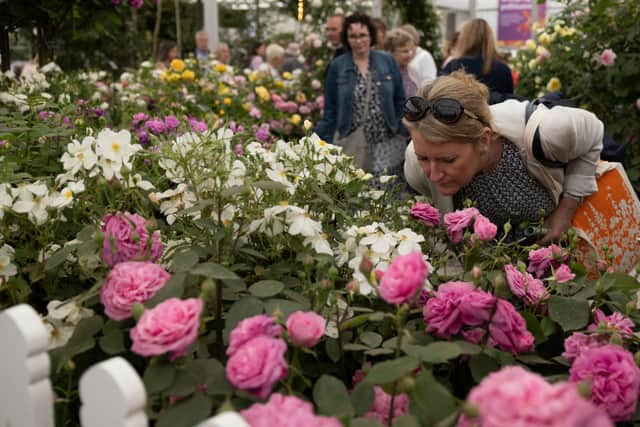 The RHS Chelsea Flower Show has been running since 1912.