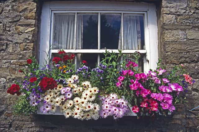 Colourful flowers displayed in window box on an old stone cottage