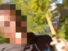 The Met Police said a teenager is currently being held in police custody over a series of prank videos on TikTok. 