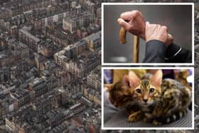 Finding an affordable way to live in London can be a huge challenge. (Photo by Getty)