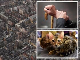 Finding an affordable way to live in London can be a huge challenge. (Photo by Getty)
