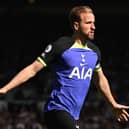  English striker Harry Kane celebrates after scoring the opening goal during the English Premier League football match  (Photo by OLI SCARFF/AFP via Getty Images)