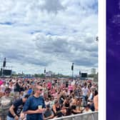 Pink (pictured in Paris) performed at BST Hyde Park. (Photo by ANNA KURTH/AFP via Getty Images)