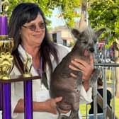 World’s Ugliest dog 2023  -Scooter - and his owner Linda Celeste Elmquist