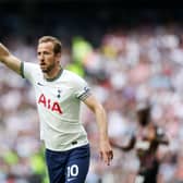Harry Kane of Tottenham Hotspur gestures during the Premier League match  (Photo by Julian Finney/Getty Images)