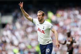 Harry Kane of Tottenham Hotspur gestures during the Premier League match  (Photo by Julian Finney/Getty Images)