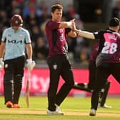 Matt Henry of Somerset celebrates the wicket of Jason Roy of Surrey with team mate Tom Abell during the Vitality Blast T20 Semi-Final 2 match between Somerset and Surrey at Edgbaston on July 15, 2023 in Birmingham, England. (Photo by Harry Trump/Getty Images)