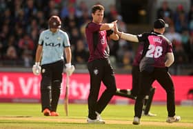 Matt Henry of Somerset celebrates the wicket of Jason Roy of Surrey with team mate Tom Abell during the Vitality Blast T20 Semi-Final 2 match between Somerset and Surrey at Edgbaston on July 15, 2023 in Birmingham, England. (Photo by Harry Trump/Getty Images)