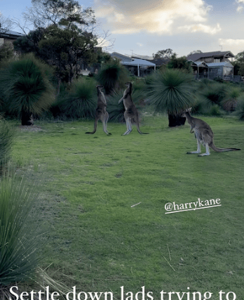 Maddison and Kane had an authentic Australian interruption (Image: Instagram @madders)