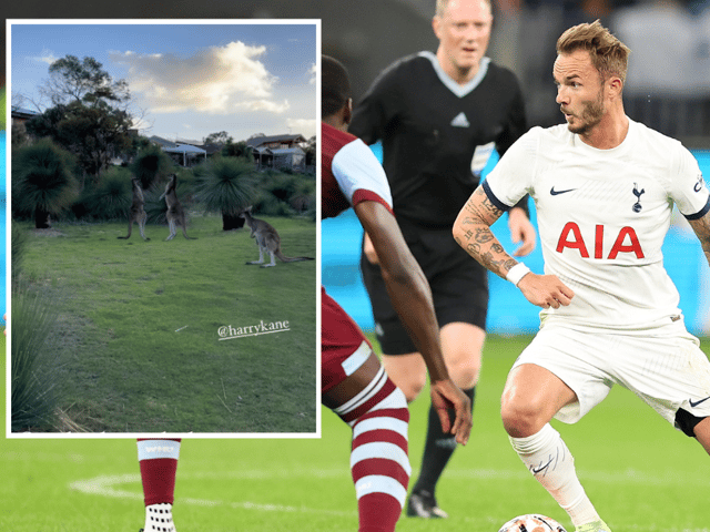 Harry Kane has taken James Maddison under his wing at Spurs (Image: Getty Images / Instagram @madders)