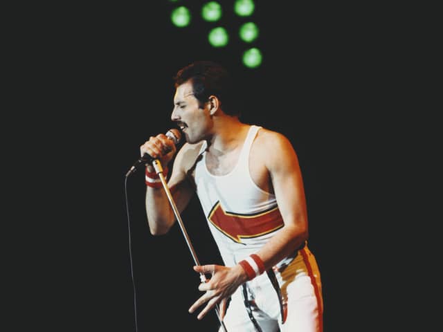 Freddie Mercury of Queen in 1982. (Photo by Fox Photos/Hulton Archive/Getty Images)