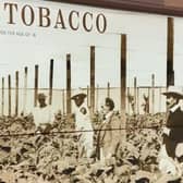 Farrants in Cobham has removed an image of a tobacco plantation after coming under fire