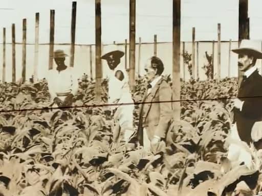 Farrants in Cobham has removed an image of a tobacco plantation after coming under fire