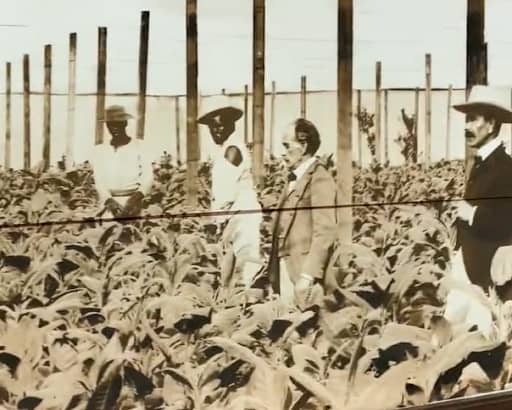 Farrants in Cobham has removed an image of a tobacco plantation after coming under fire