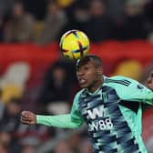 Issa Diop has be named the Premier League’s sexiest star. (Image: Getty Images)