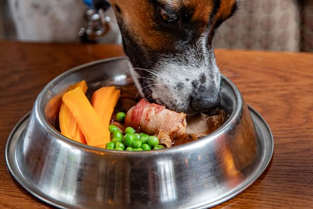 Buddy, 1, tucking into a roast dinner