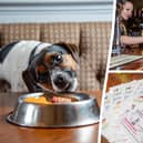 The Bellflower in Preston, Lancashire, won the accolade of the official best pub for dogs in the UK