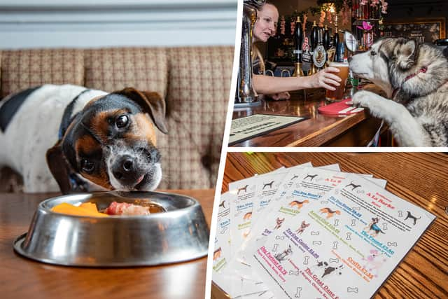 The Bellflower in Preston, Lancashire, won the accolade of the official best pub for dogs in the UK