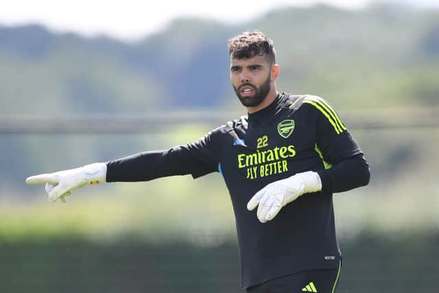 David Raya has joined Arsenal on a season-long loan (Image: Getty Images)