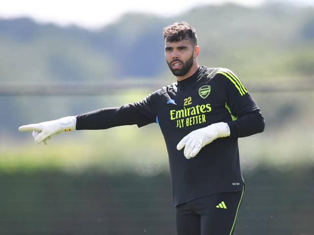 David Raya has joined Arsenal on a season-long loan (Image: Getty Images)