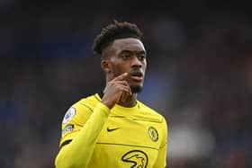 Callum Hudson-Odoi of Chelsea looks on during the Premier League match between Leicester City and Chelsea  (Photo by Michael Regan/Getty Images)