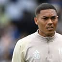 Fulham attacker Carlos Vinicius
