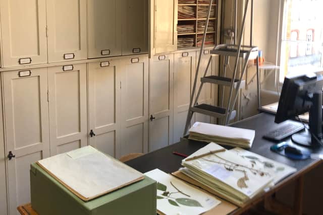 A campaign launched to prevent the herbarium being moved from Kew claims the potential risks are “either exaggerated or untrue”. Credit: Save Kew Herbarium.