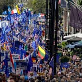 Thousands of Remainers joined the National Rejoin March (NRM) 