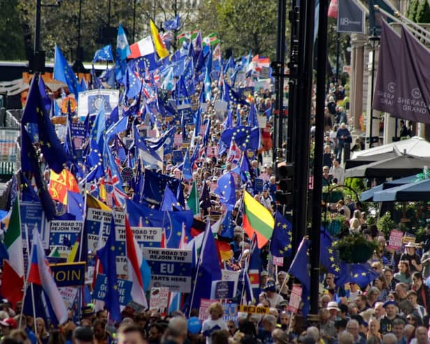 Thousands of Remainers joined the National Rejoin March (NRM) 