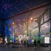 The Butterfly Trail, next to Tottenham Court Road. (Photo by Outernet)