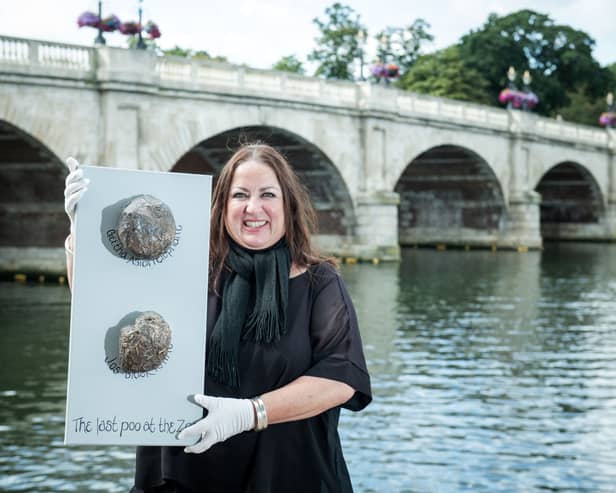 Tracey Lee holding ‘The Last Poo at the Zoo’, which was her first piece of animal poo-inspired art. Credit: Tracey Lee.