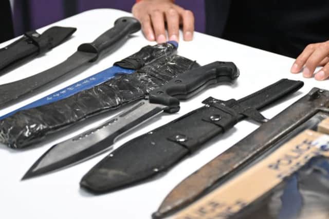 In August the government announced plans to ban machetes and zombie knives in the UK