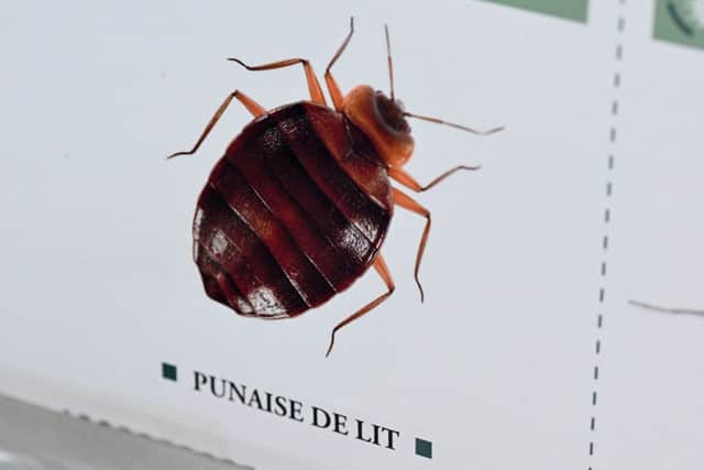 A bedbug epidemic has sent waves of panic throughout Paris